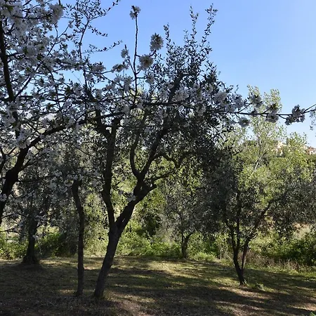 Case&colline La Serra Nuova בית נופש